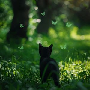 特级全黄A片高清视频
